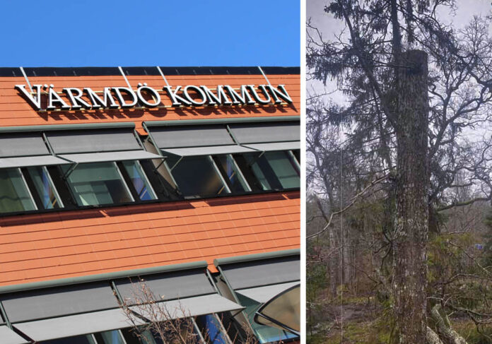 Träd från föreningens mark. Bild: Värmdö kommun